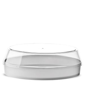 TORTA GELATO CONTAINER 12 SLICES PS FULL COLOR WHITE