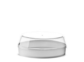 TORTA GELATO CONTAINER 8 SLICES PS FULL COLOR WHITE