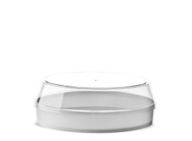 TORTA GELATO CONTAINER 10 SLICES PS FULL COLOR WHITE