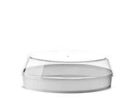 TORTA GELATO CONTAINER 12 SLICES PS FULL COLOR WHITE