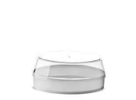 TORTA GELATO CONTAINER 6 SLICES PS FULL COLOR WHITE