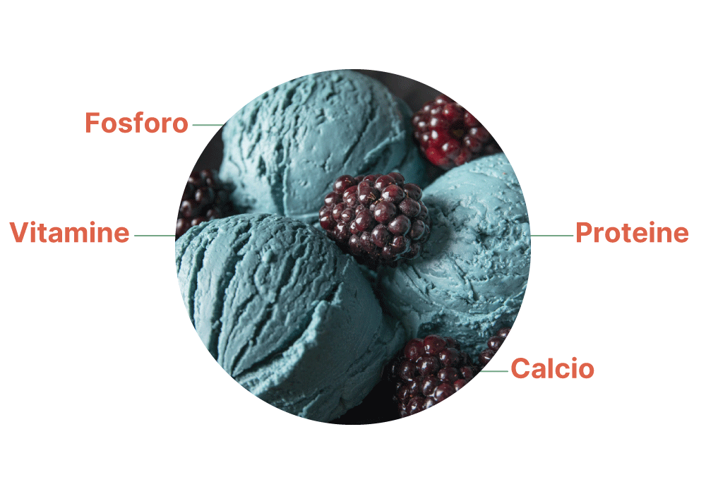 Schema caratteristiche nutrizionali del gelato
