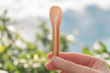 mano sosteniendo una cuchara marrón con fondo de naturaleza debajo